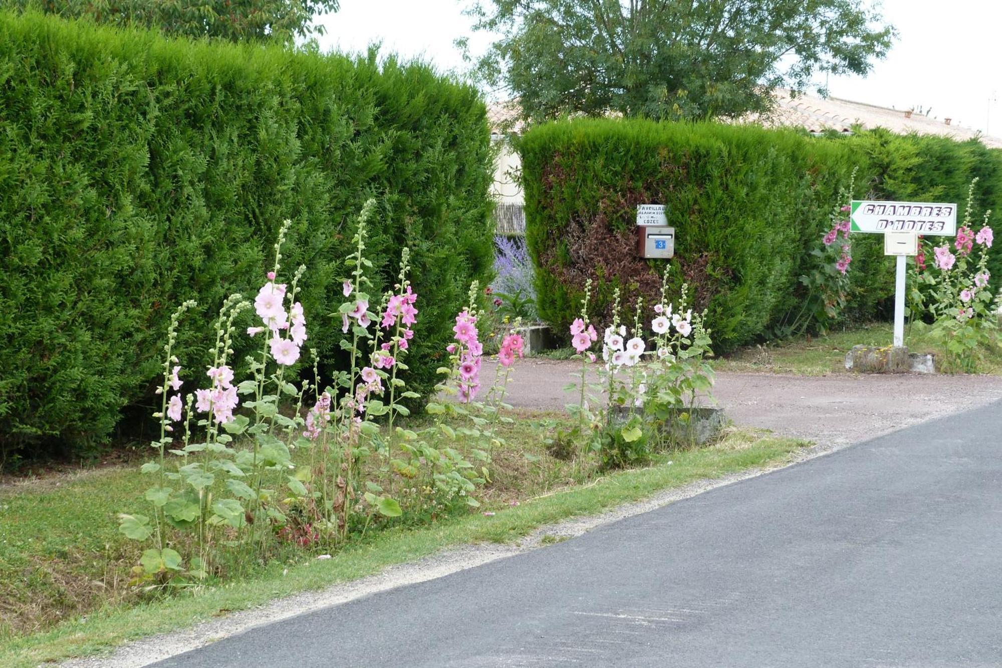 Chambre D'Hotes Les 3 Moulins Cozes エクステリア 写真